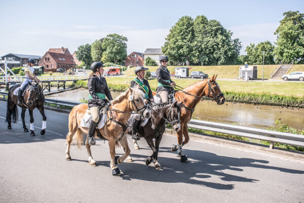 78a---Kopie